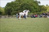 UKPA NC SAT_2839